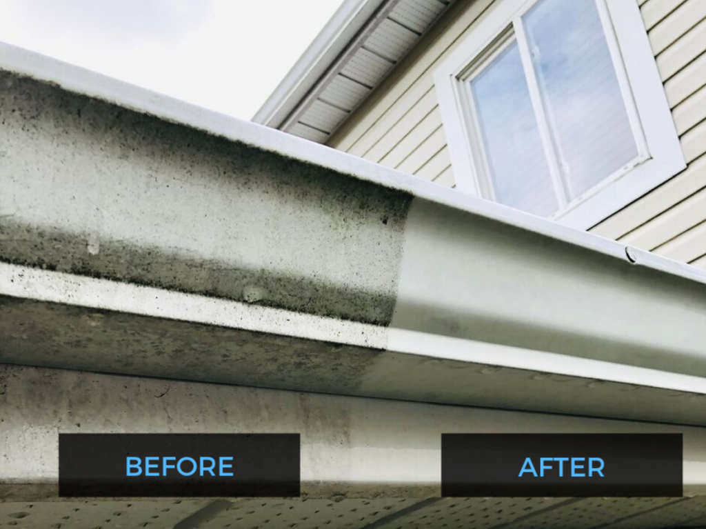 Gutter Cleaning