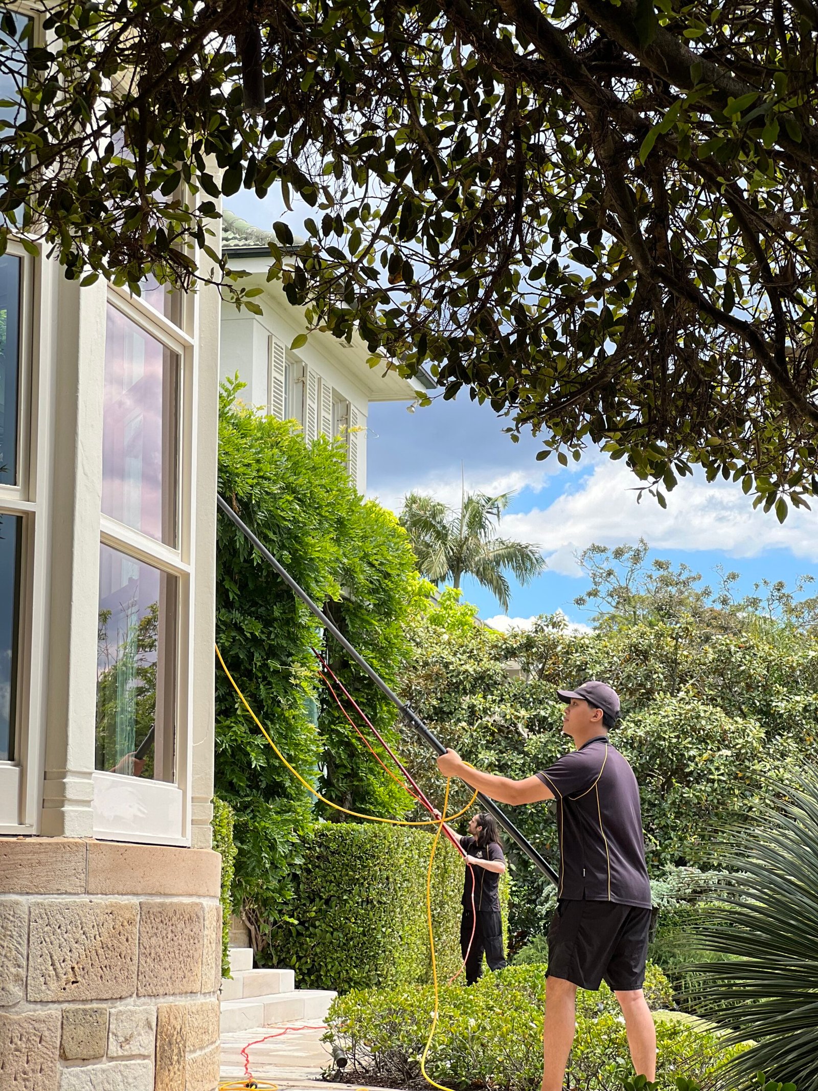 Window cleaning Lower North Shore Mosman