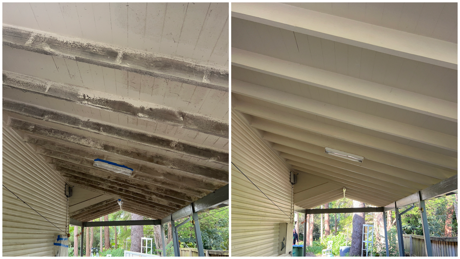 07_patio-ceiling-mould-removal