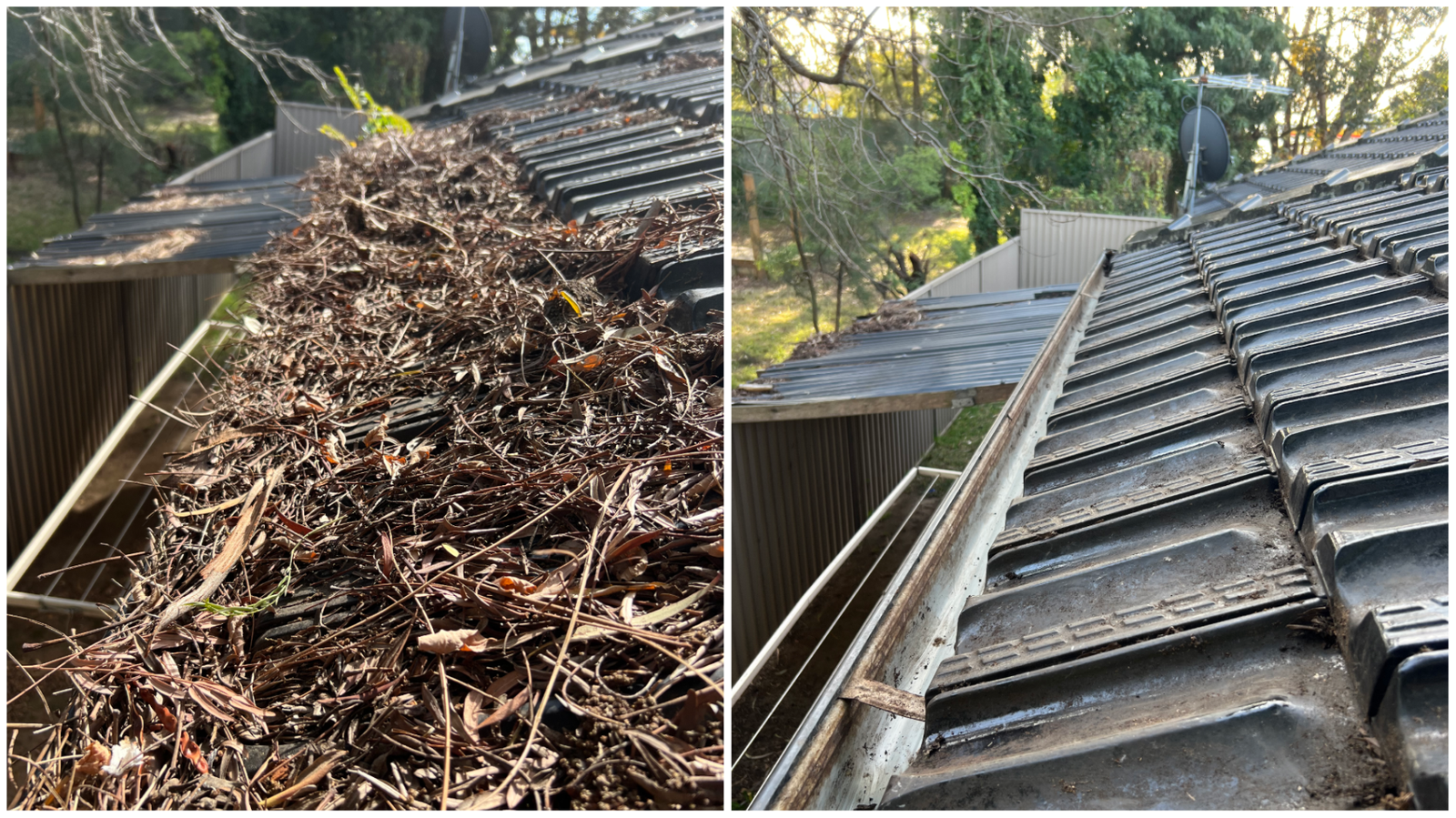 14_gutter-cleaning-leaf-debris
