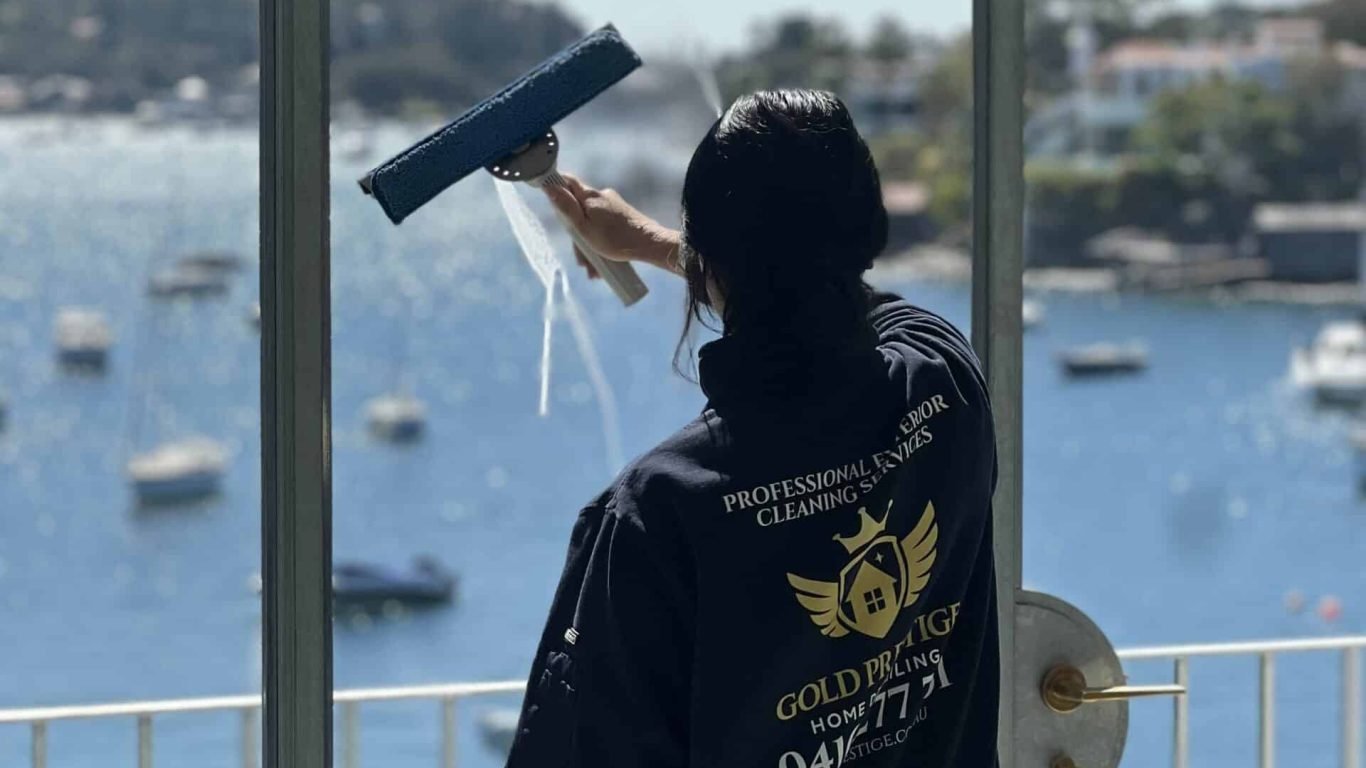 IMG_0068 window-cleaner
